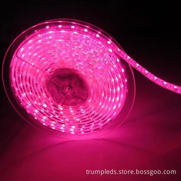 Out door led lights PU IP68 110v waterproof led strip light